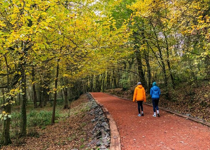 Belgrad Forest's woodland trails north of the city