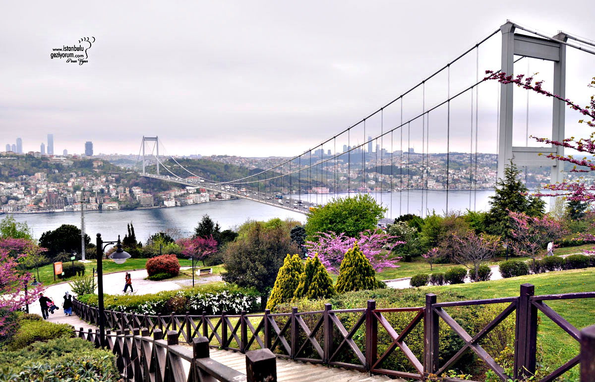 Otağtepe Fatih Grove's hilltop Bosphorus view in Beykoz